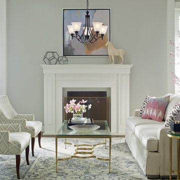 Traditional Living Rooms