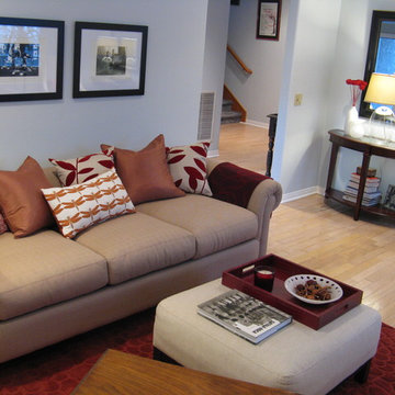 Traditional/Modern Mix Living Room