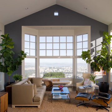 Transitional Living Room