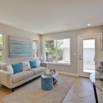 Transitional Living Room