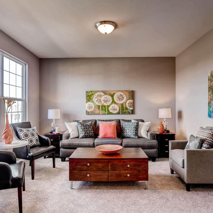Transitional Modern Living Room Photos & Ideas Houzz