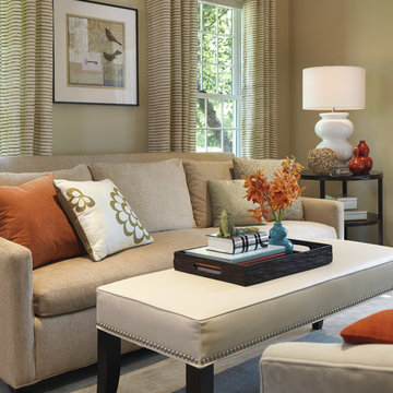 Transitional Living Room