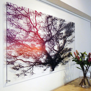 transparent perspex plexiglas artwork featuring striking tree branches
