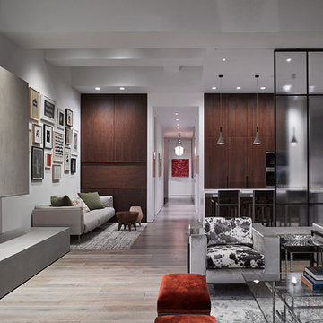 Tribeca Apartment