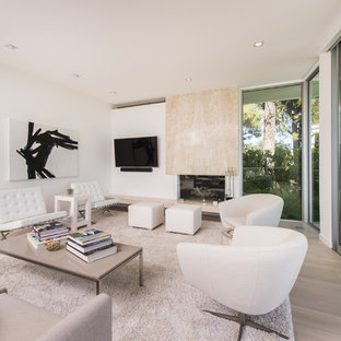 Example of a trendy light wood floor and beige floor living room design in Los Angeles with white walls, a standard fireplace, a stone fireplace and a wall-mounted tv