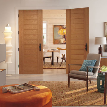 TruStile Modern Door Collection - Interior Cherry Doors