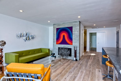 サンディエゴにある広いコンテンポラリースタイルのおしゃれなリビング (白い壁、淡色無垢フローリング、標準型暖炉、石材の暖炉まわり、茶色い床) の写真