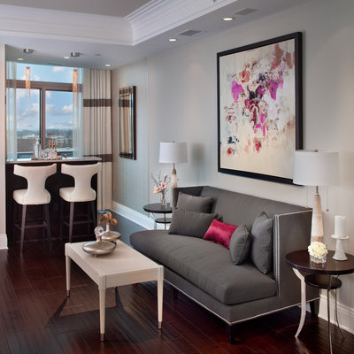 Trendy living room photo in DC Metro with gray walls