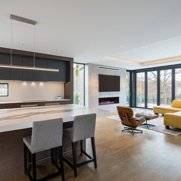 Tyrol Hills Contemporary Living Room