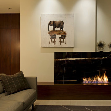 Unique Living Room Fireplace