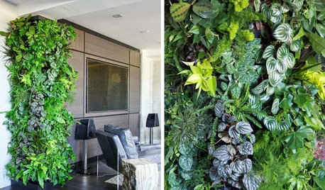 Шесть проблем, которые решает вертикальное озеленение в квартире