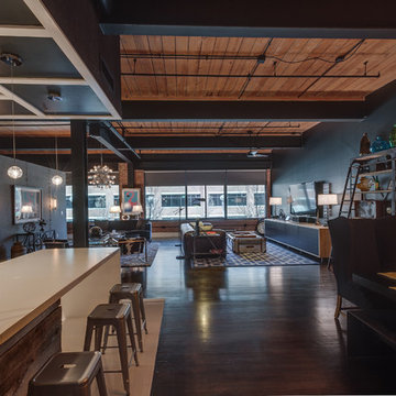 Urban Industrial Living