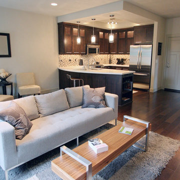 Urban Living Room + Kitchen