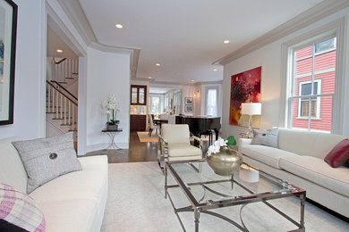 Transitional living room photo in Boston