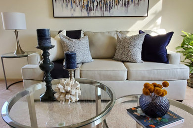 Trendy living room photo in Phoenix