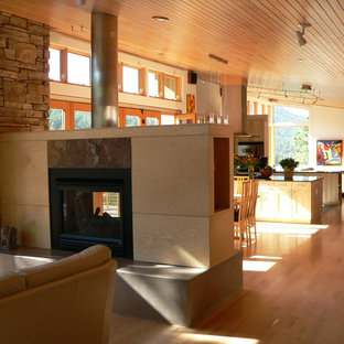 Example of a mid-century modern living room design in Denver with a two-sided fireplace