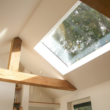 Vaulted Ceiling & Rooflight