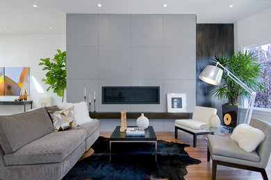 Trendy living room photo in San Francisco with a ribbon fireplace