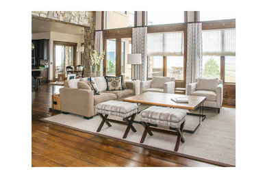 Living room - transitional living room idea in Denver
