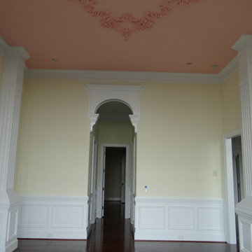 Wainscot & Ornate paneling