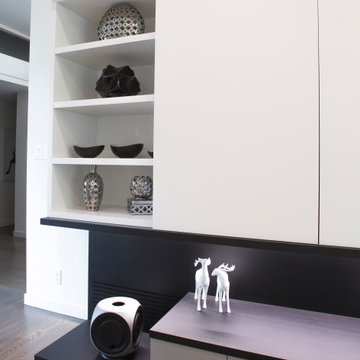Wall Unit Cabinetry | Sleek Functionality