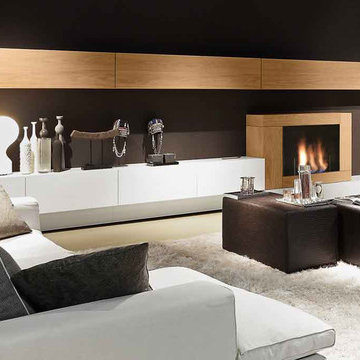 Wall Unit with Fireplace, Presotto Italy
