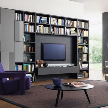 Wall Units - Media Centers - Floating Shelving - Bookcases
