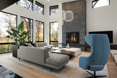 Design ideas for a contemporary living room in Minneapolis.