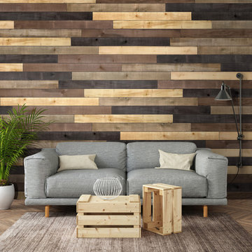 Weathered Wood Accent Boards - Mixed Colors