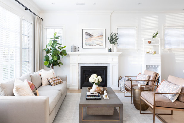 Transitional Living Room by Hazel and Brown Design Company