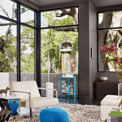Living room - contemporary living room idea in Austin with gray walls