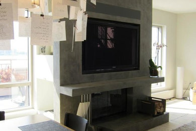 Foto de biblioteca en casa cerrada minimalista pequeña con paredes grises, suelo de madera clara, todas las chimeneas, marco de chimenea de metal y televisor colgado en la pared