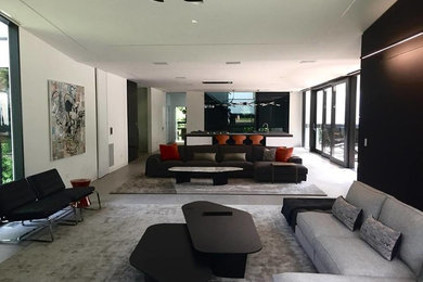 Foto di un soggiorno moderno con pareti bianche, pavimento in gres porcellanato e pavimento grigio
