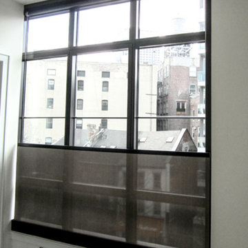 Window Shades by Distinctive Window Treatments Plus