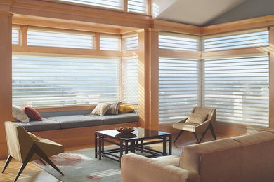 Window treatments for living rooms