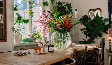 My Houzz: A One-bedroom 1920s Flat Filled With Personality