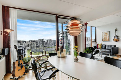 Design ideas for a contemporary dining room in Copenhagen.
