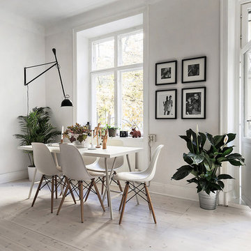 Skandinavisk Matplats