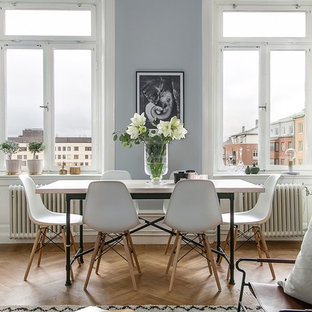 Idéer för en nordisk matplats med öppen planlösning, med blå väggar och mellanmörkt trägolv