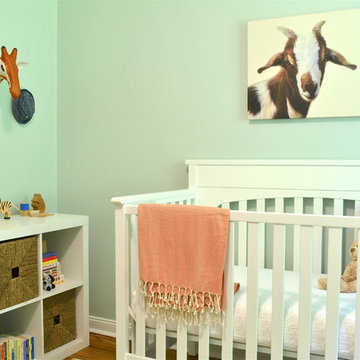A Nursery for a Baby Boy