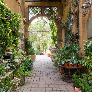 Delray Beach, Florida | Biophilic Design & Living Walls | TruVine Design