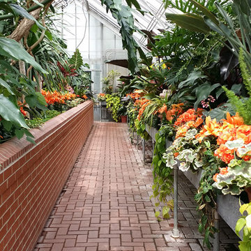 The Biltmore Conservatory - Spring 2015