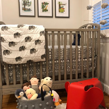 Whimsical Boy's Nursery in Arlington, VA