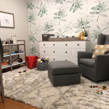 Whimsical Boy's Nursery in Arlington, VA