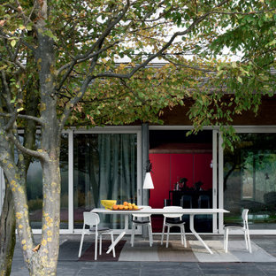 Immagine di un grande patio o portico design dietro casa con pavimentazioni in cemento e un tetto a sbalzo
