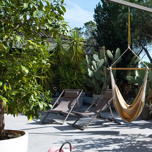 Immagine di un patio o portico tropicale con nessuna copertura, un giardino in vaso e lastre di cemento