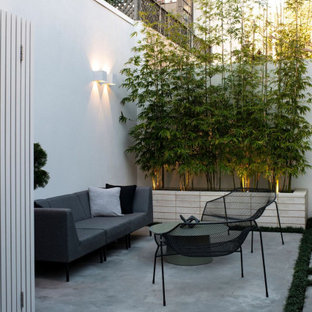 This is an example of a small contemporary backyard patio in Sydney with concrete slab and no cover.