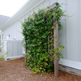Idee per un grande patio o portico tropicale dietro casa con pedane e una pergola