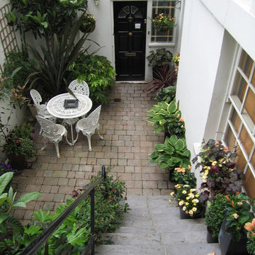 A basement garden