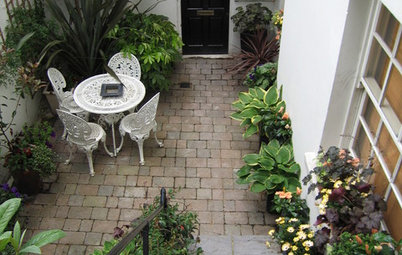 Garden Tour: A Small Courtyard Garden With Year-round Colour